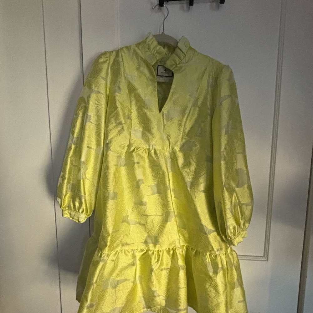 Citron Fil Coupe Palmerston Tuckernuck Jacquard Dress - Picture 3 of 9